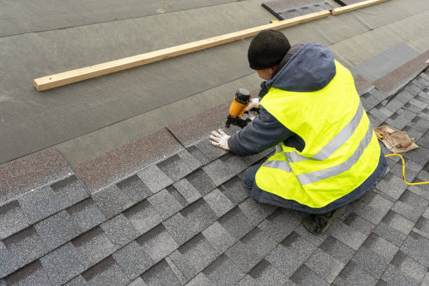 Roof Gutter Cleaning in Tiptonville, TN