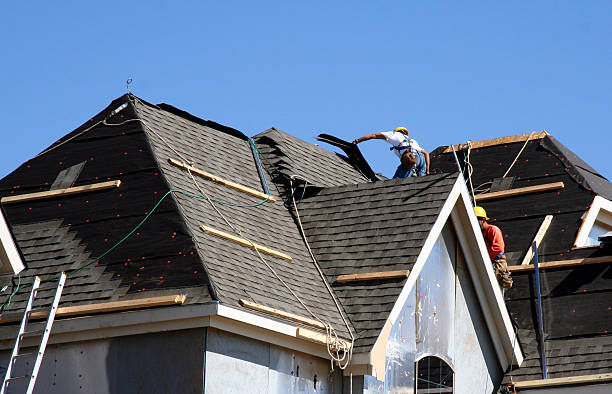 Best Roof Gutter Cleaning  in Tiptonville, TN